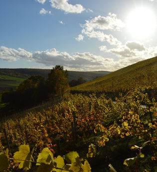 Weinlehrpfad Röttingen