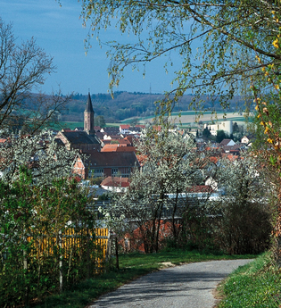 Weinpfad Kraichgau | © Stadtverwaltung Kraichtal