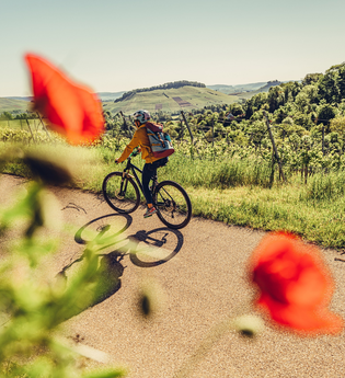 Unterwegs am Württembergischen Weinradweg in Heilbronn | © Touristikgemeinschaft HeilbronnerLand e.V.