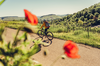 Unterwegs am Württembergischen Weinradweg in Heilbronn | © Touristikgemeinschaft HeilbronnerLand e.V.