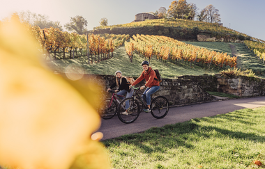 Weinradeln in Weinsberg | © Touristikgemeinschaft HeilbronnerLand e.V.