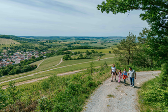 Wanderweg Weinsteige Bretzfeld | © Hohenloher Perlen