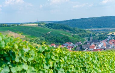 Weinstraße Taubertal | © Liebliches Taubertal