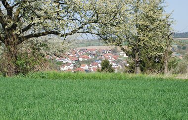 Weinwanderweg Kraichtal IVV- Besenhex (Kurz- und Langroute) | © Stadtmarketing Kraichtal
