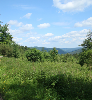 Weißer-Stein-Tour | © Landratsamt Rhein-Neckar Kreis