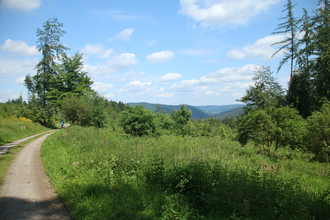 Weißer-Stein-Tour | © Landratsamt Rhein-Neckar Kreis