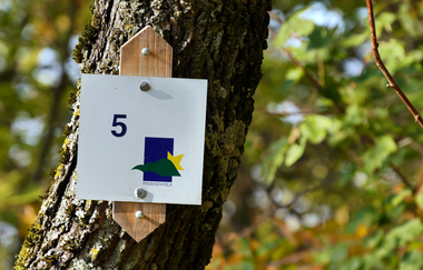 Wengertschützenrunde zum Sandberg und Schloßberg | © Land der 1000 Hügel - Kraichgau-Stromberg