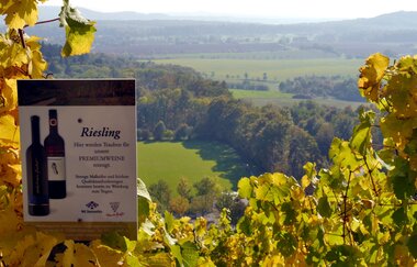 Wengertschützenrunde zum Sandberg und Schloßberg | © Land der 1000 Hügel - Kraichgau-Stromberg