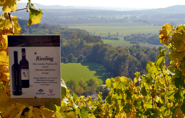 Wengertschützenrunde zum Sandberg und Schloßberg | © Land der 1000 Hügel - Kraichgau-Stromberg