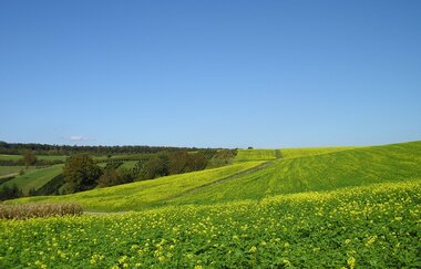 WG1 - Über sanfte Hügel zur Schönen Aussicht | © Land der 1000 Hügel - Kraichgau-Stromberg