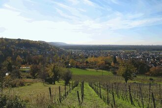 WG1 - Über sanfte Hügel zur Schönen Aussicht | © Land der 1000 Hügel - Kraichgau-Stromberg