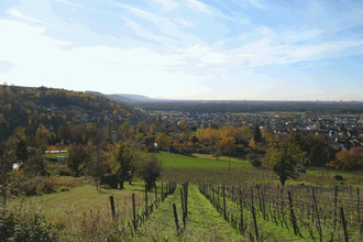 WG1 - Über sanfte Hügel zur Schönen Aussicht | © Land der 1000 Hügel - Kraichgau-Stromberg