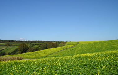 WG1 - Über sanfte Hügel zur Schönen Aussicht | © Land der 1000 Hügel - Kraichgau-Stromberg