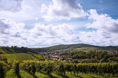 Kraichgau - Land der 1000 Hügel. Hier wachsen Weine, so vielseitig wie die Landschaft. | © Winzer von Baden