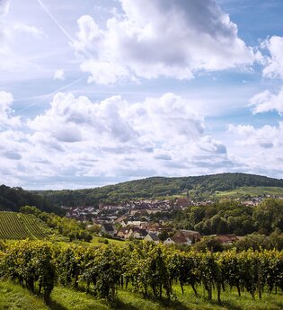 Wiesloch Rundwanderung | © Winzer von Baden