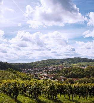 Wiesloch Rundwanderung | © Winzer von Baden