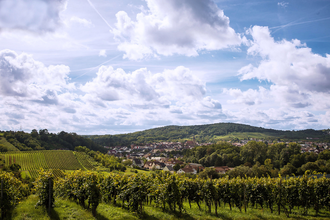 Wiesloch Rundwanderung | © Winzer von Baden