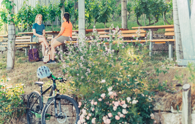 Weinausschank im Zweifelberg | Weinsüden Weinort Brackenheim | HeilbronnerLand | © Touristikgemeinschaft HeilbronnerLand
