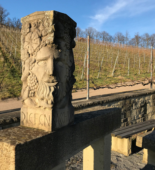 Wo der "Wilde Fritz" haust und der "König" thront | © Land der 1000 Hügel - Kraichgau-Stromberg