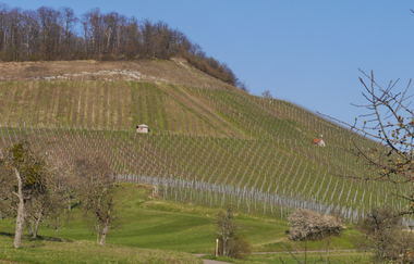 Wo der "Wilde Fritz" haust und der "König" thront | © Land der 1000 Hügel - Kraichgau-Stromberg