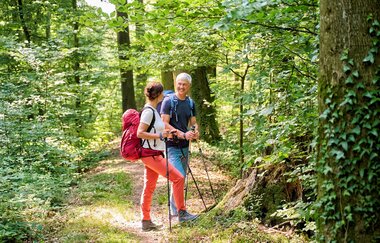 Wanderer im Wald | © Touristikgemeinschaft Hohenlohe e. V.