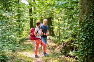 Wanderer im Wald | © Touristikgemeinschaft Hohenlohe e. V. | Florian Trykowski