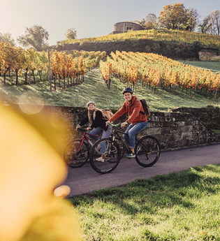 Weinradeln in Weinsberg | © Touristikgemeinschaft HeilbronnerLand e.V.