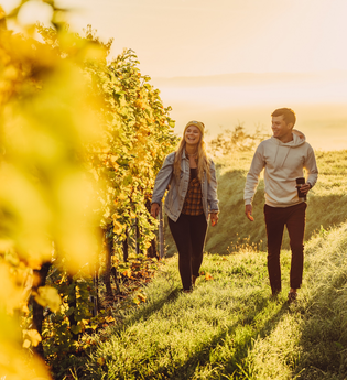 Spaziergänger in den Weinbergen | © Touristikgemeinschaft HeilbronnerLand e.V.