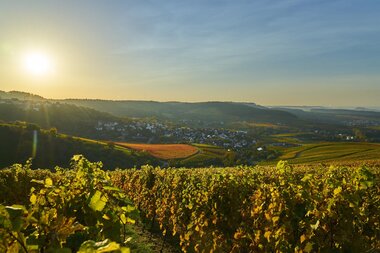 Weinpanorama Löwenstein | Aussicht über´s Weinsberger Tal | HeilbronnerLand | © Tourismus im Weinsberger Tal