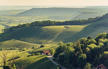 Aussicht von der Burgruine Löwenstein | Blick über den Naturpark Schwäbisch-Fränkischer Wald | HeilbronnerLand | © Touristikgemeinschaft HeilbronnerLand