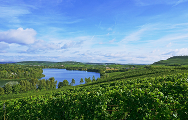 Aussicht Breitenauer See vom Wengertshäusle | Löwenstein | HeilbronnerLand | © Tourismus im Weinsberger Tal