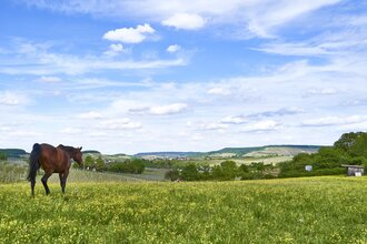 Impressionen aus dem Autal | Obersulm | HeilbronnerLand | © Tourismus im Weinsberger Tal