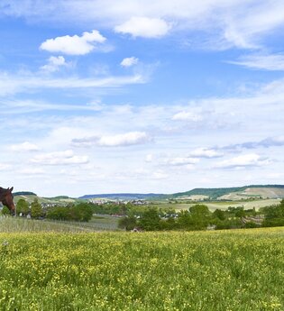 Impressionen aus dem Autal | Obersulm | HeilbronnerLand | © Tourismus im Weinsberger Tal