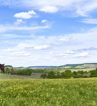 Impressionen aus dem Autal | Obersulm | HeilbronnerLand | © Tourismus im Weinsberger Tal