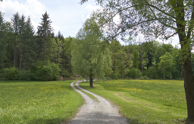 Impressionen aus dem Autal | Obersulm | HeilbronnerLand | © Tourismus im Weinsberger Tal