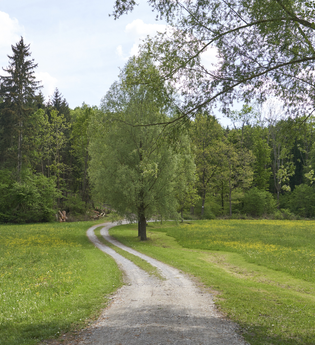 Impressionen aus dem Autal | Obersulm | HeilbronnerLand | © Tourismus im Weinsberger Tal