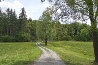 Impressionen aus dem Autal | Obersulm | HeilbronnerLand | © Tourismus im Weinsberger Tal