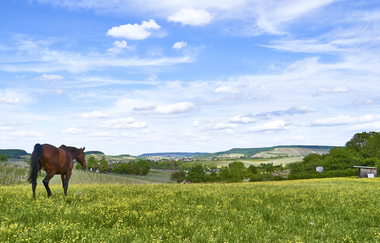 Impressionen aus dem Autal | Obersulm | HeilbronnerLand | © Tourismus im Weinsberger Tal