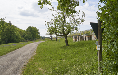 Impressionen aus dem Autal | Obersulm | HeilbronnerLand | © Tourismus im Weinsberger Tal
