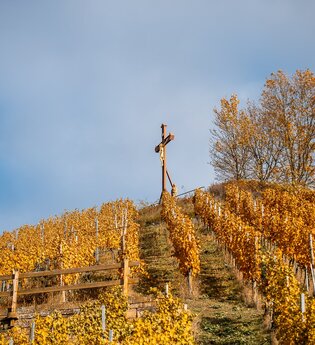 Aussichtspunkt Scheuerberg | Neckarsulm | HeilbronnerLand | © Stadt Neckarsulm