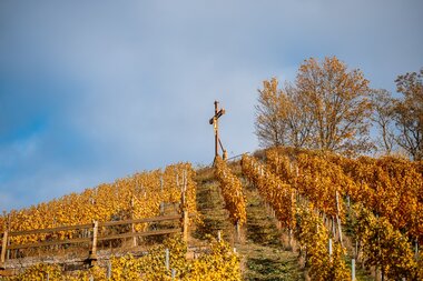 Aussichtspunkt Scheuerberg | Neckarsulm | HeilbronnerLand | © Stadt Neckarsulm