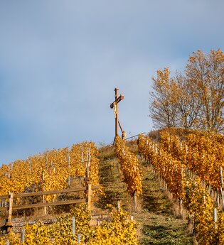 Aussichtspunkt Scheuerberg | Neckarsulm | HeilbronnerLand | © Stadt Neckarsulm