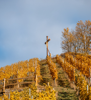 Aussichtspunkt Scheuerberg | Neckarsulm | HeilbronnerLand | © Stadt Neckarsulm