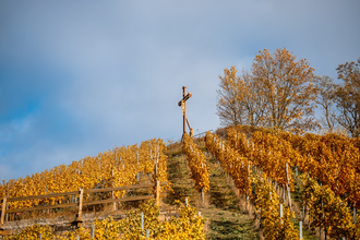 Aussichtspunkt Scheuerberg | Neckarsulm | HeilbronnerLand | © Stadt Neckarsulm
