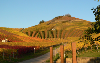 Scheuerberg im Herbst
