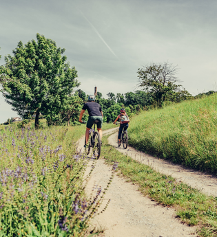 Naturparktouren HeilbronnerLand - Radfahren im Naturpark Schwäbisch-Fränkischer Wald | Sauklinge Löwenstein | © Touristikgemeinschaft HeilbronnerLand e.V.