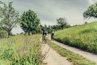 Naturparktouren HeilbronnerLand - Radfahren im Naturpark Schwäbisch-Fränkischer Wald | Sauklinge Löwenstein | © Touristikgemeinschaft HeilbronnerLand e.V.
