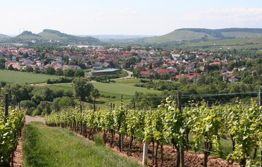 WT31 Ketzersberg-Tour | © Von Rosenzweig - Selbst fotografiert, CC BY-SA 3.0, https://commons.wikimedia.org/w/index.php?curid=2129867