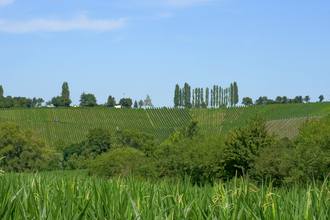 Ellhofen | Weinsberger Tal | Ketzersberg | © Tourismus im Weinsberger Tal e.V.