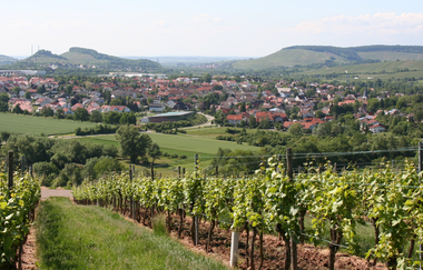 WT31 Ketzersberg-Tour | © Von Rosenzweig - Selbst fotografiert, CC BY-SA 3.0, https://commons.wikimedia.org/w/index.php?curid=2129867